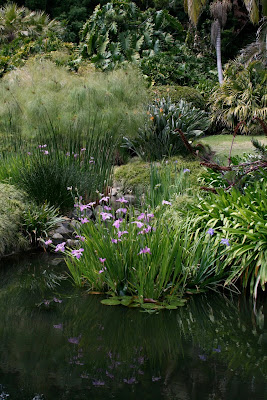 Lily Pond Huntington
