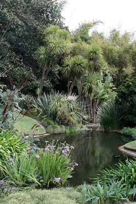 Lily Ponds Huntington Gardens