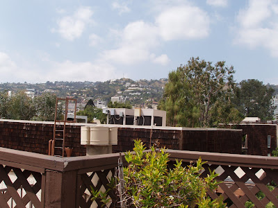 View of the Hollywood Hills from our new condo terrace