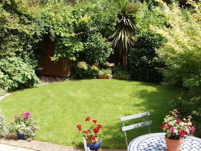 Sunny small London garden