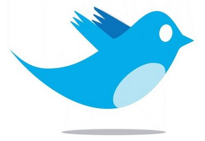 Blue twitter bird image