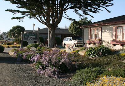 Sea Otter Inn Cambria