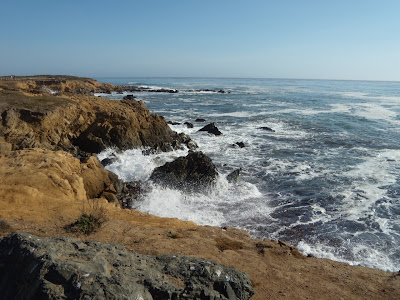 Cambria Pacific Ocean view