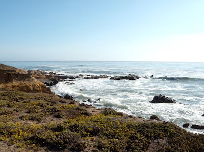 Pacific Ocean view at Cambria
