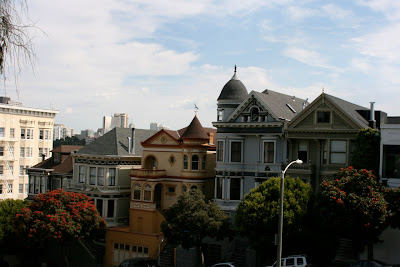 Pretty Alamo Square houses