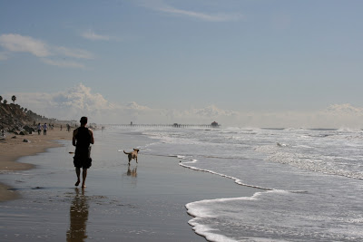 Huntington Dog Beach