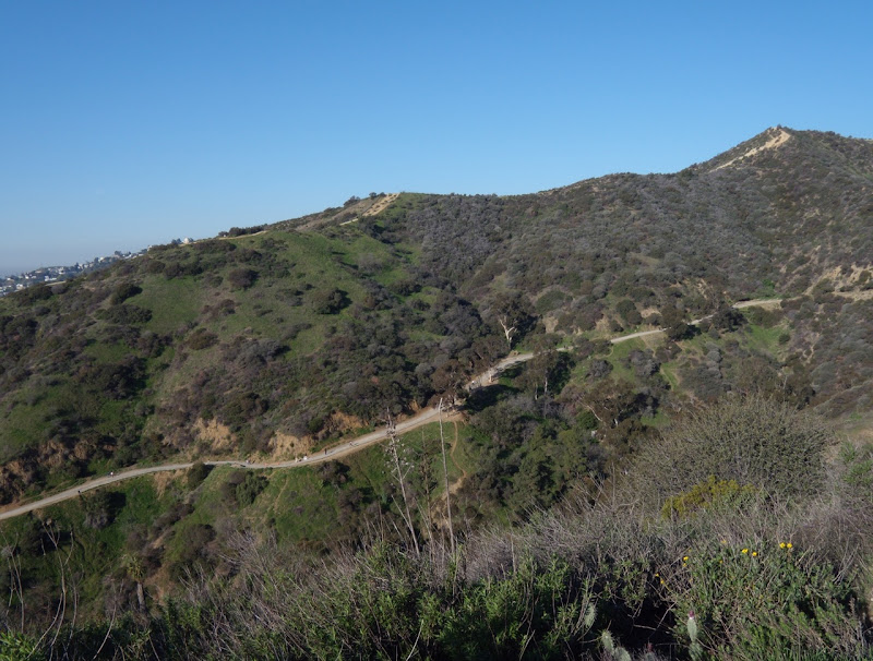 Runyon Canyon February 2010