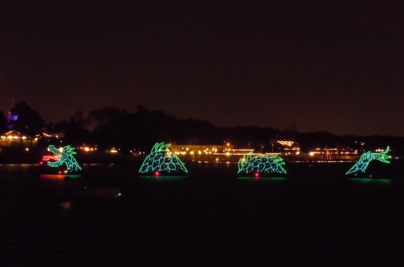 Disney World sea creature