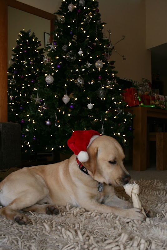 Christmas Cooper Dec 09