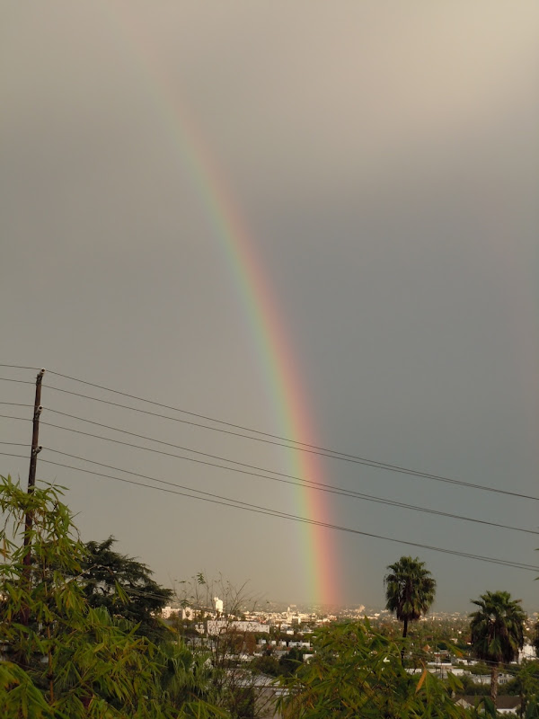 Rainbow West Hollywood Dec10