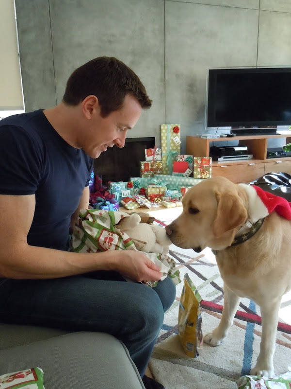 Puppy presents