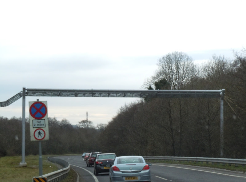 Dormouse crossing Wales