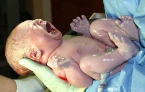 [newborn_baby_photo-300x191.jpg]