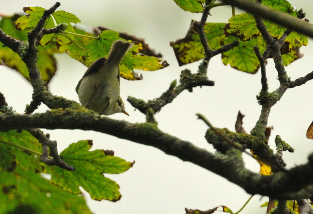 [greenish-churchcove-311009+007.jpg]