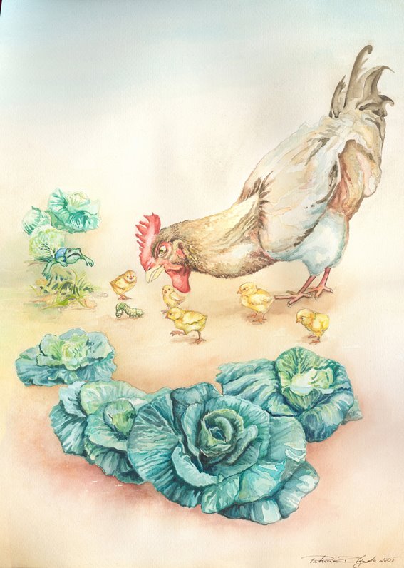 [gallina.jpg]
