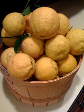 Backyard Lemons