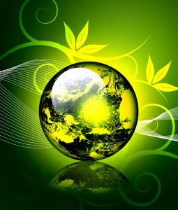 Frases Sobre A Sustentabilidade Ambiental