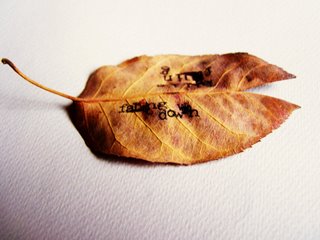 [leaf2.JPG]