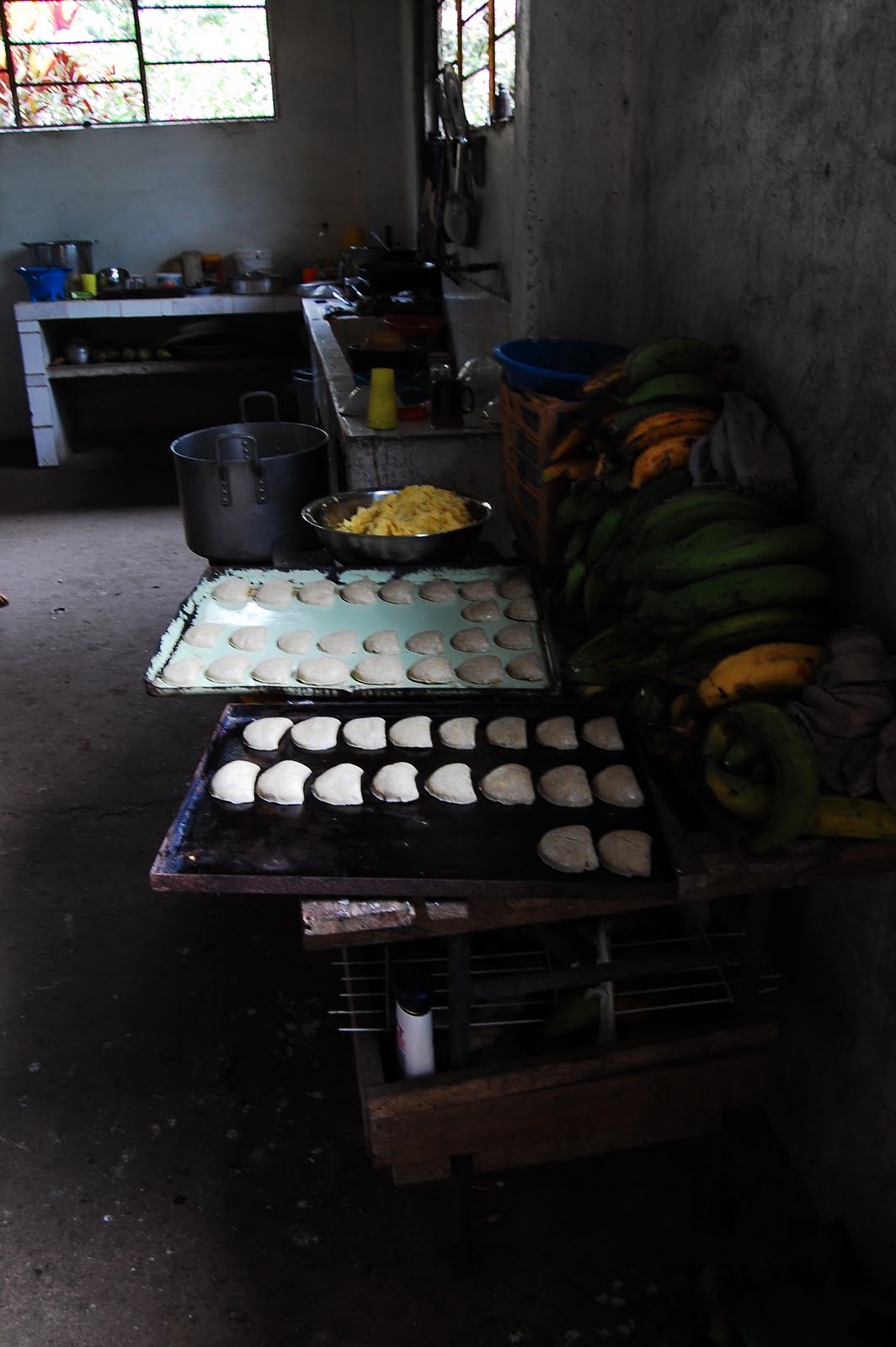 [DSC_0401.JPG]