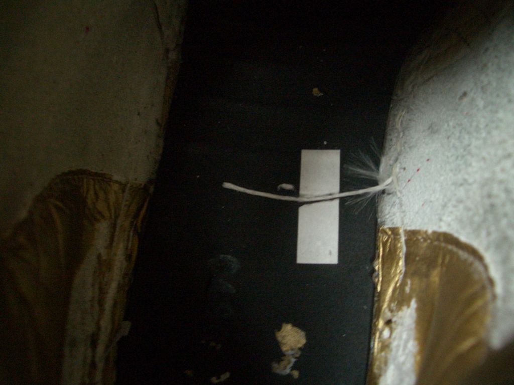 [tn_CIMG9818.JPG]