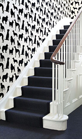 Dog Decor