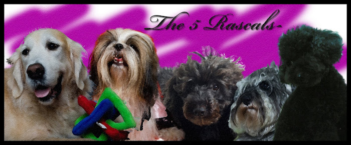 The Five Rascals