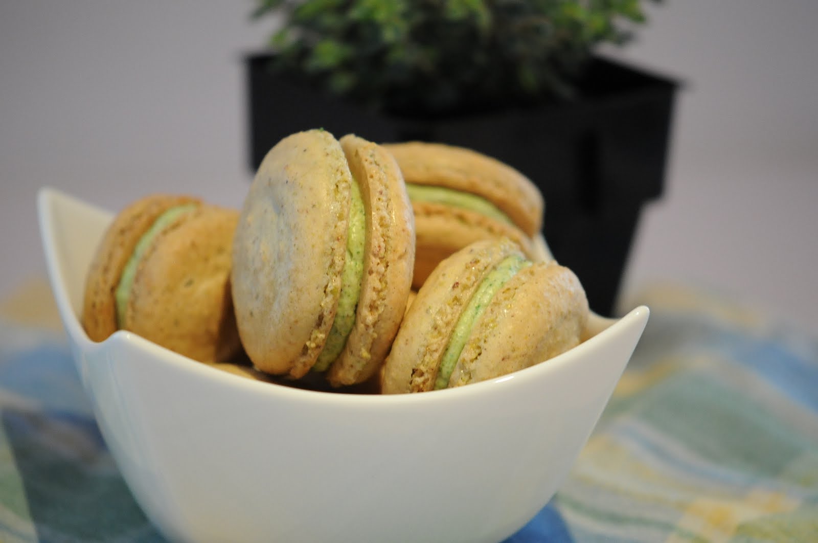 lachinvasion Pistachio Cream Macaron