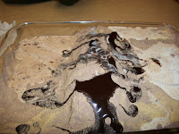 Youel Soar High in Second Grade: Erosion Experiment