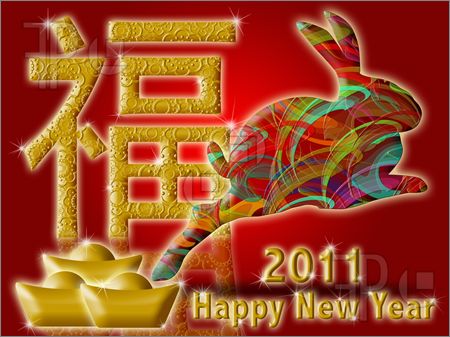 for Chinese New Year 2011