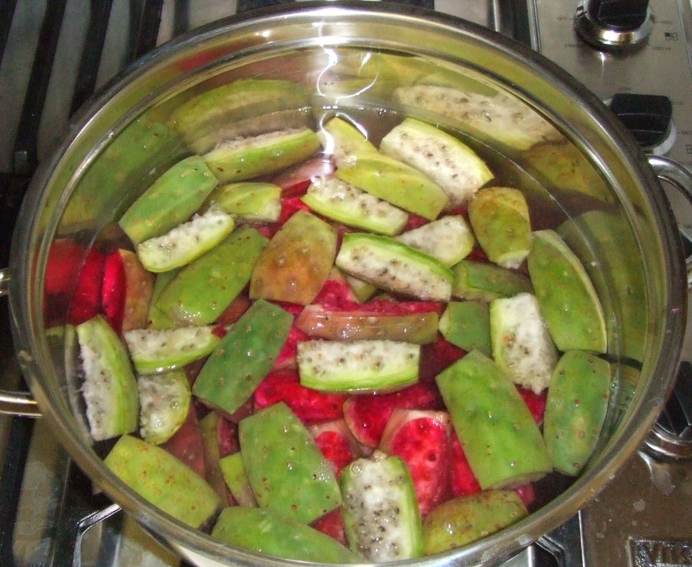 Good Muse Canning Tuna?