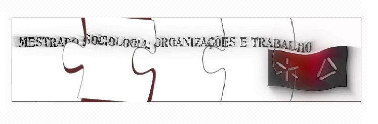 Mestrado Sociologia: Organizações e Trabalho