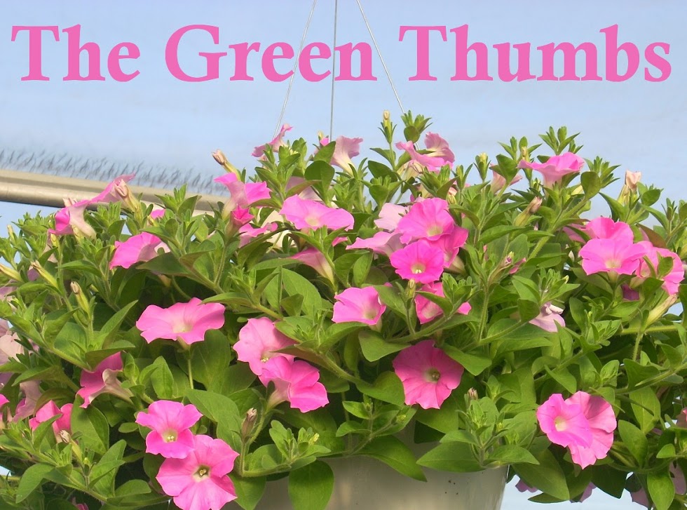 The Green Thumbs