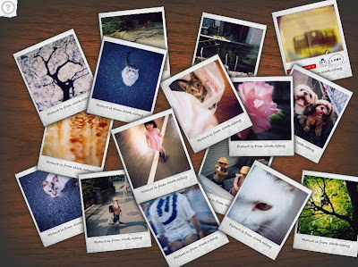 Webs ポラロイド写真を机に広げたように画像を見せる Polaroid Gallery Webs ポラロイド写真を机に広げたように画像を見せる Polaroid Gallery