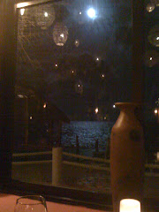 Full moon over the water at dinner