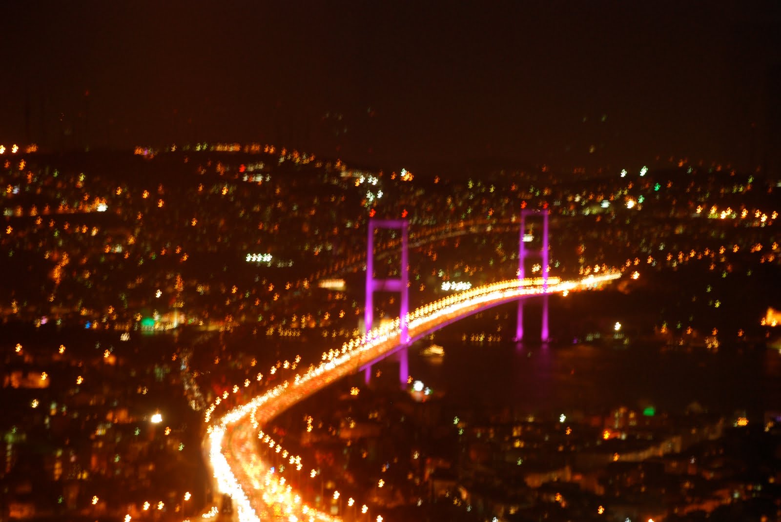 [DSC_0086.JPG]