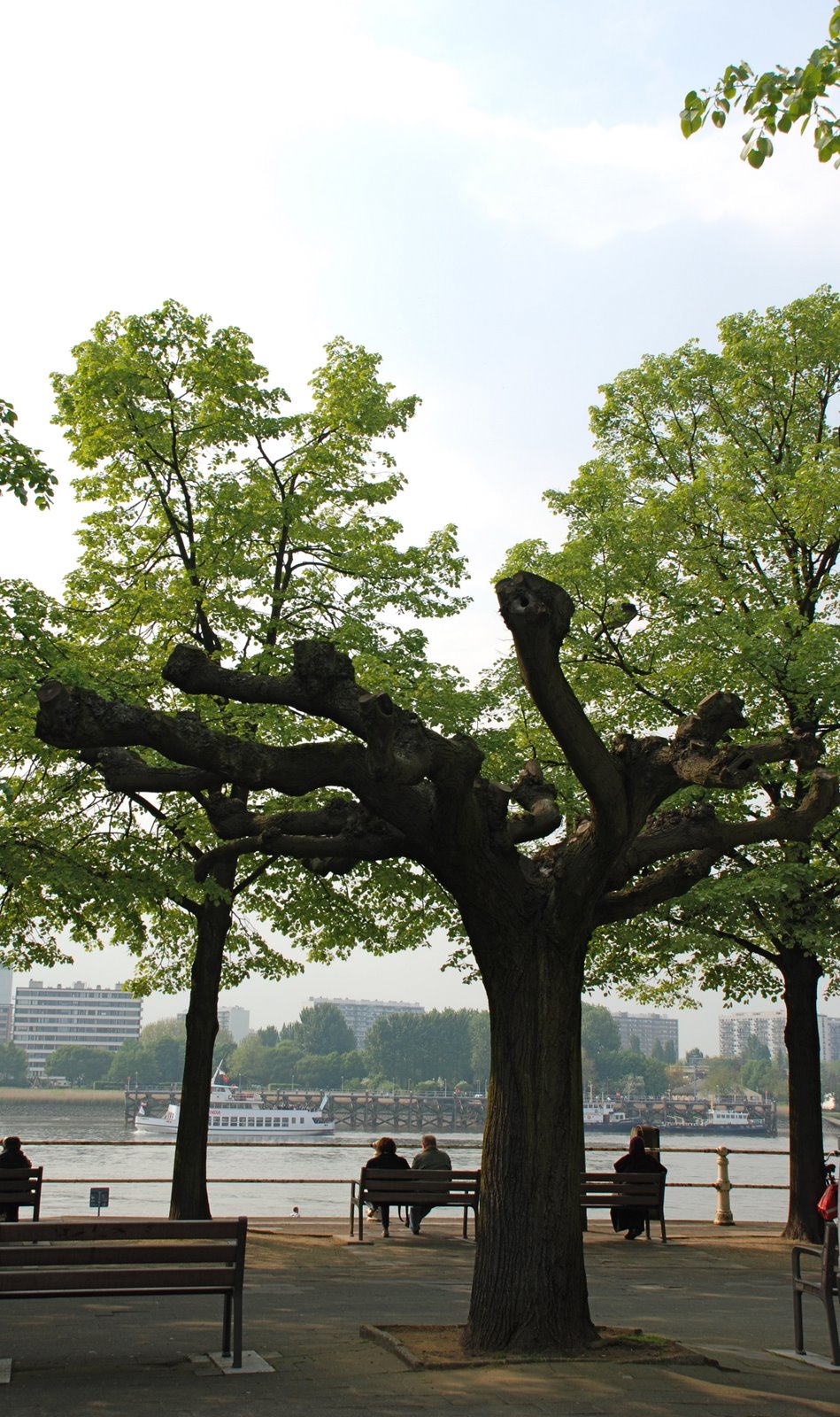 [DSC_0180.JPG]