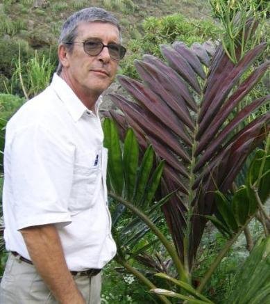 [Copia+de+Ch+macrocarpa+carlo+02.JPG]