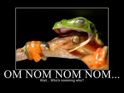 funny pictures nom nom nom funny pictures nom nom nom