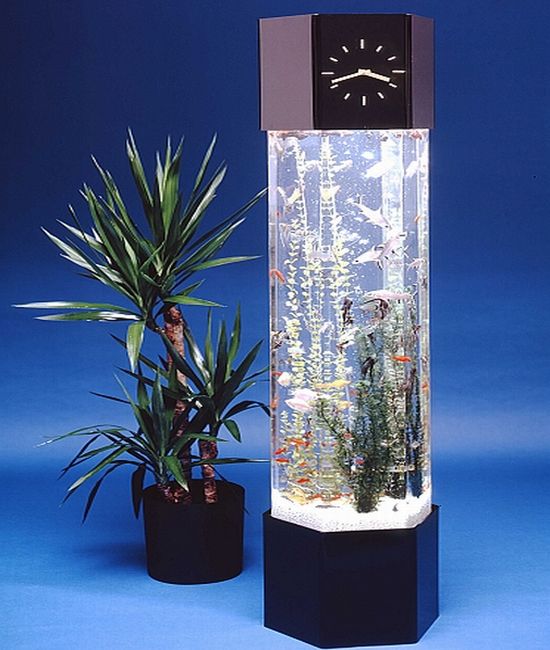 vertical fish tank Amazing aquariums, Aquarium design, Fish tank