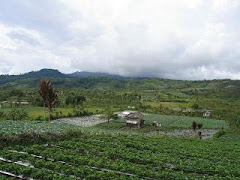 Agrowisata Rejang Lebong