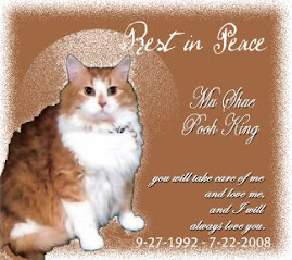 Rest in peace sweet boy