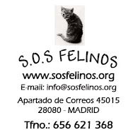 Asociación S.O.S Felinos