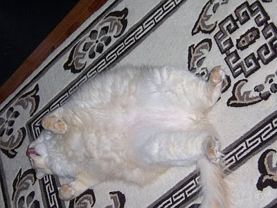 Ginger Full Monty