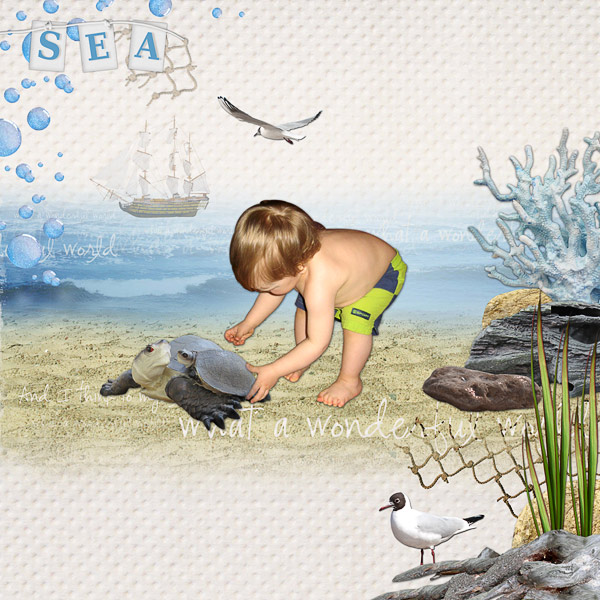 http://4.bp.blogspot.com/_GRmMV4fbP0M/S-qixGz7vRI/AAAAAAAAATY/xzZDgZ-mAWI/s1600/heart_of_the_ocean_3.jpg