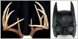 antlers or bat ears? antlers or bat ears?