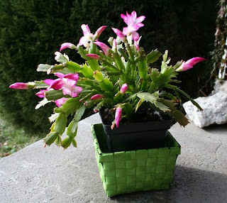 2010 2010