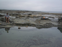 John Wilkins maps the Dinosaur Dreaming site at Flat Rocks