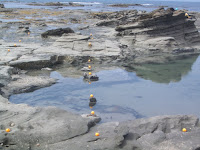 John Wilkins maps the Dinosaur Dreaming site at Flat Rocks