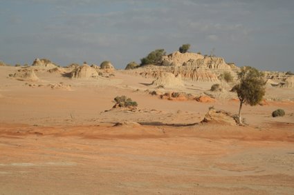 [IMG_8290.JPG]