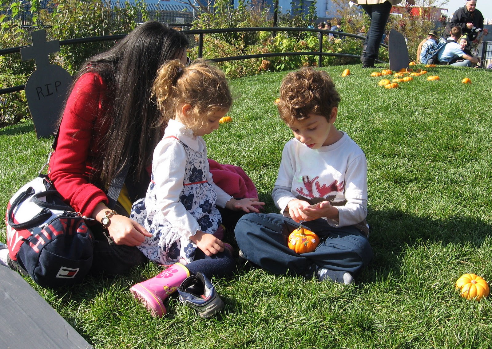 mcbrooklyn Harvest Festival at Brooklyn Bridge Park a Hit